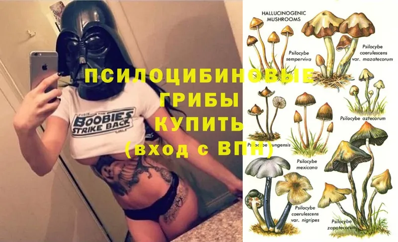 MEGA зеркало  Нерехта  Галлюциногенные грибы Magic Shrooms 